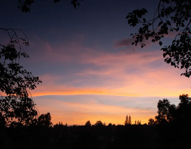 Pink and orange clouds framed by silhouetted trees